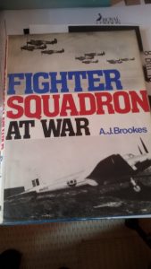 Fighter Squadrons at War
